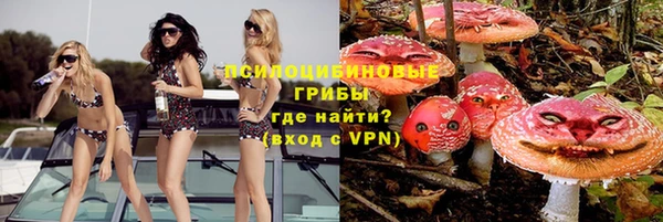 ГАЛЛЮЦИНОГЕННЫЕ ГРИБЫ Осташков