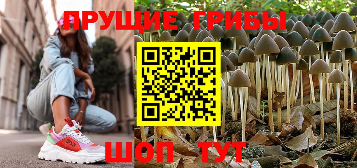 Сарапул  Галлюциногенные грибы Psilocybe  наркошоп  Вход с VPN 